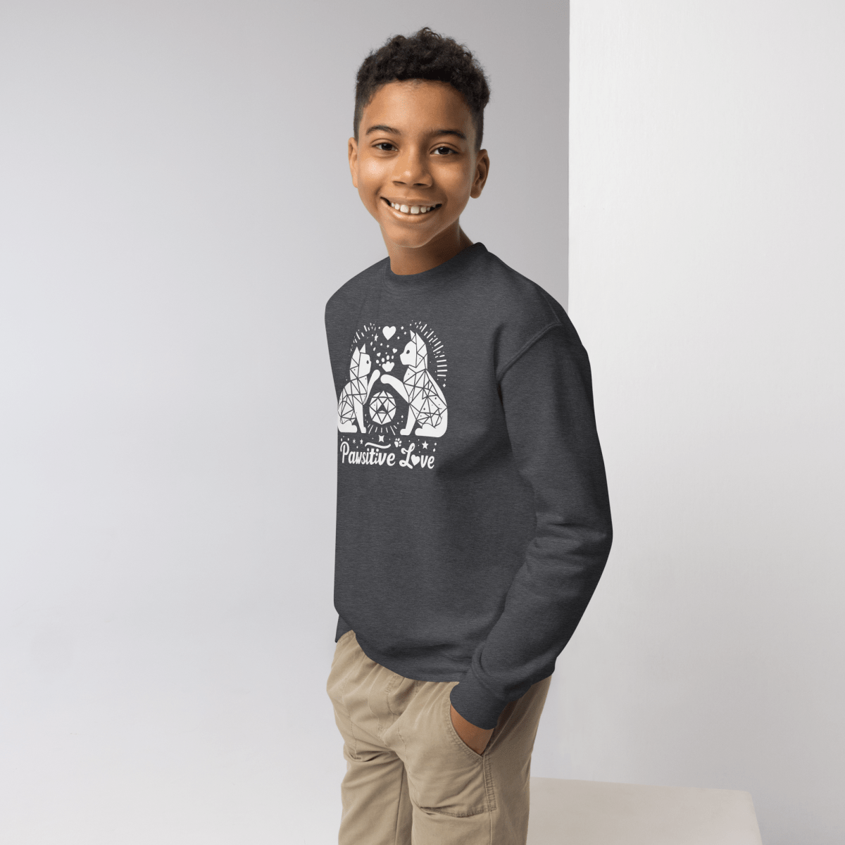 Geometric Whisker Play - Youth Sweatshirt - Youth Sweatshirt - Speak Up 4 Paws