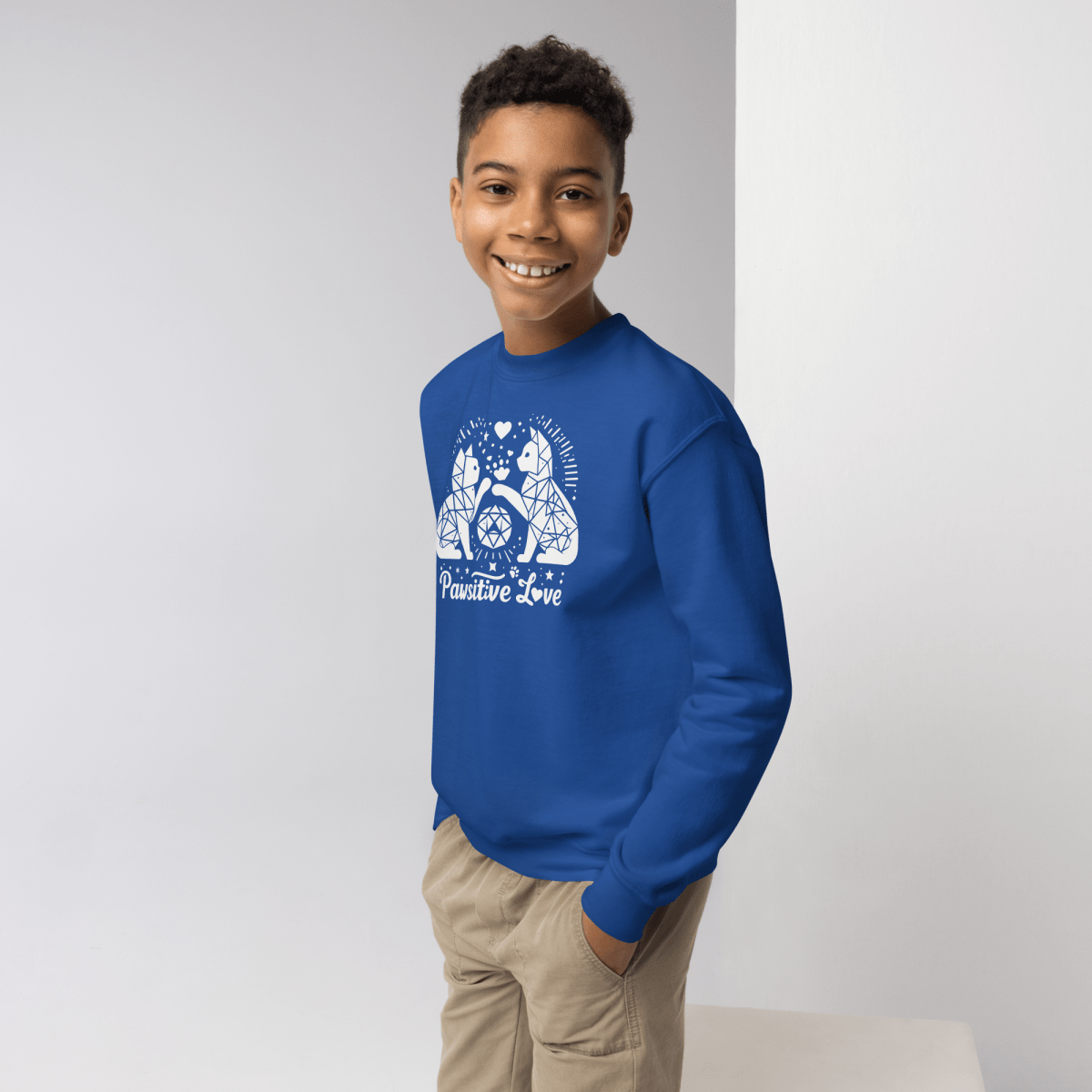 Geometric Whisker Play - Youth Sweatshirt - Youth Sweatshirt - Speak Up 4 Paws