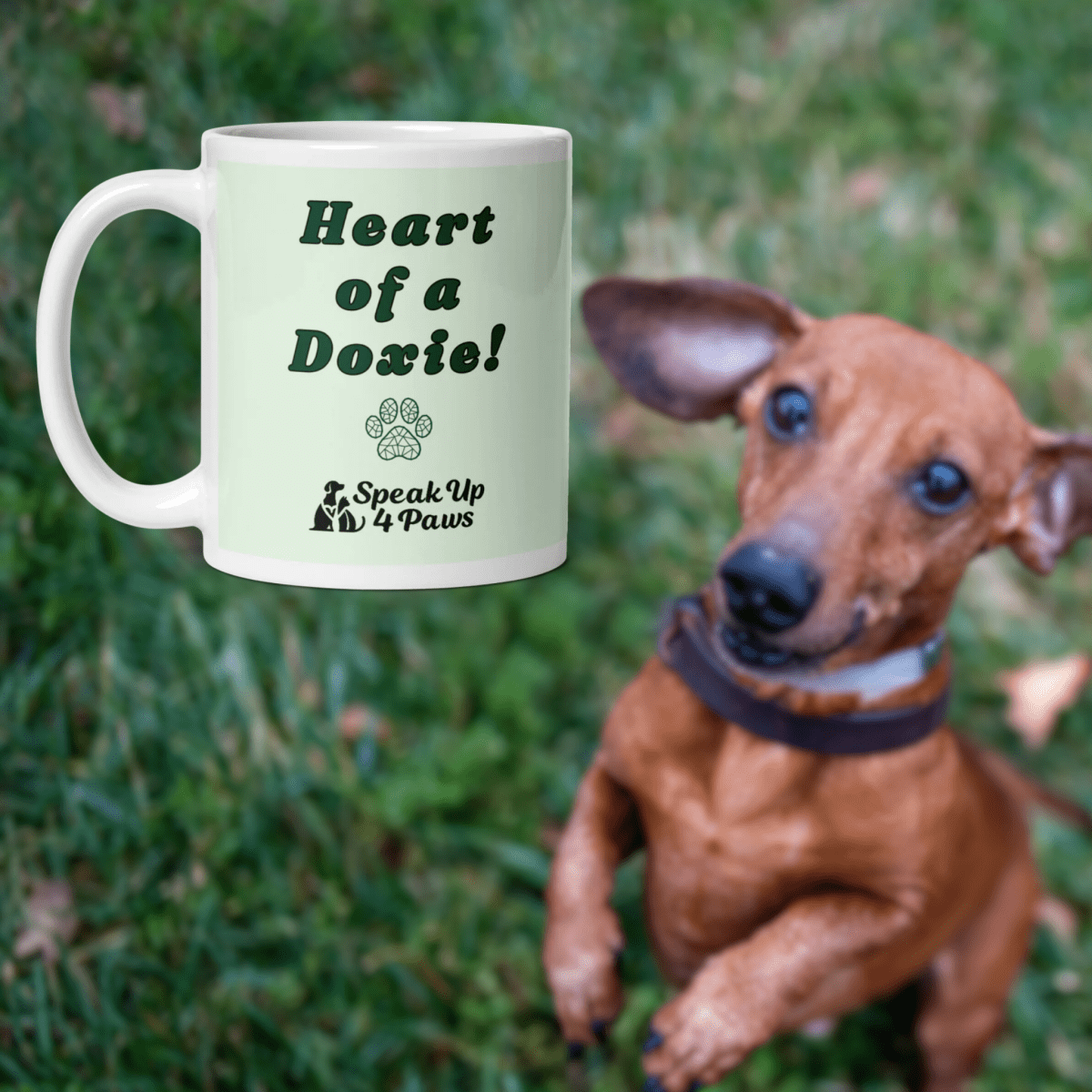 Heart of a Doxie - "Heart of a Doxie!" - Signature Mug (Color: Honeydew) - Coffee Mug - Speak Up 4 Paws