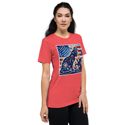 Feline Fireworks Fiesta -Tri-Blend Tee