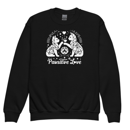 Geometric Whiskerplay - Pawsitive Love - Youth Sweatshirt