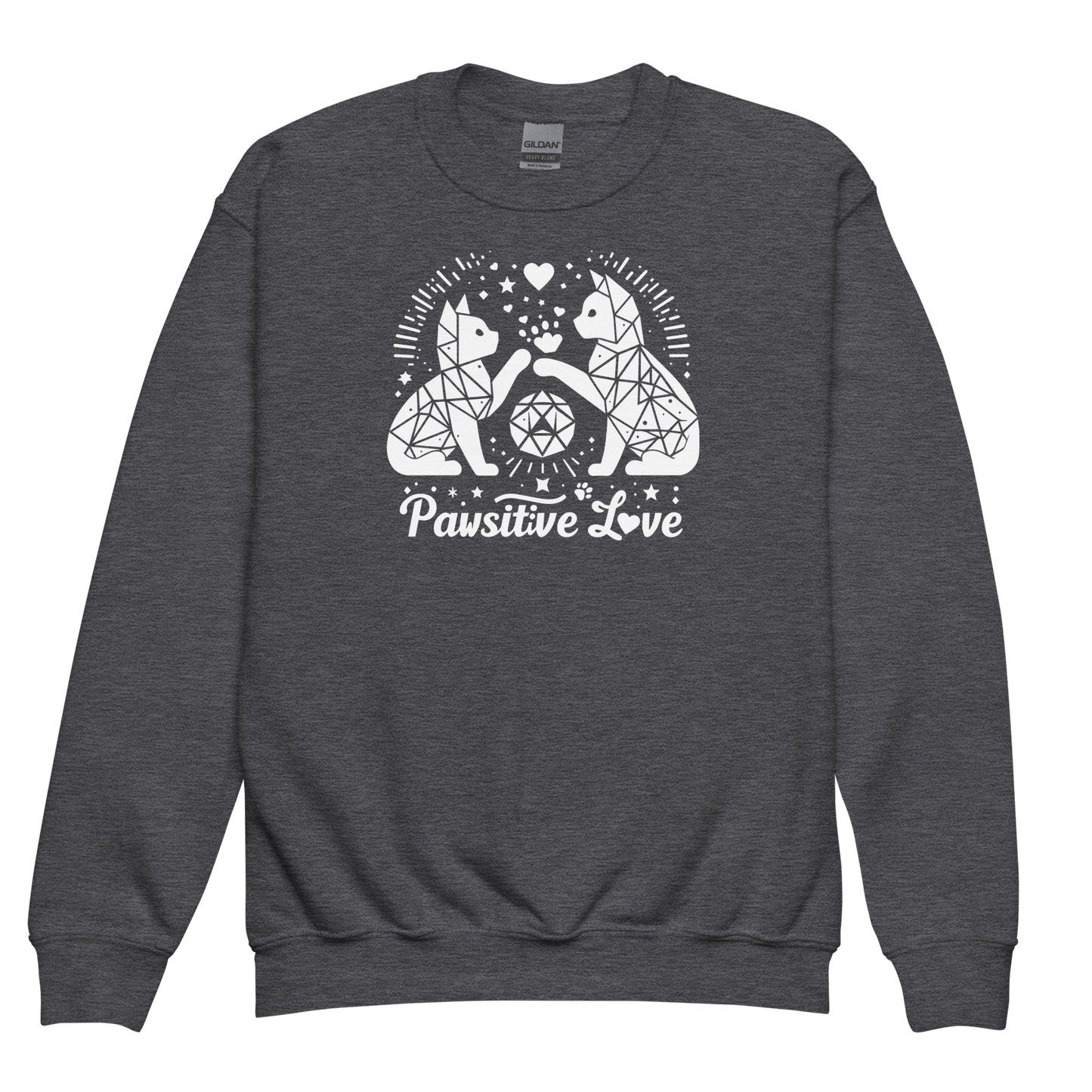 Geometric Whiskerplay - Pawsitive Love - Youth Sweatshirt