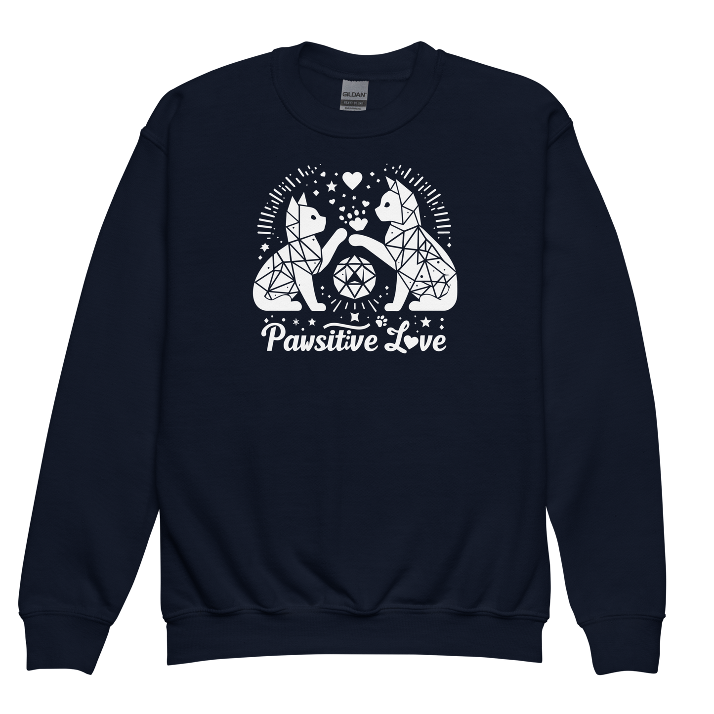 Geometric Whiskerplay - Pawsitive Love - Youth Sweatshirt