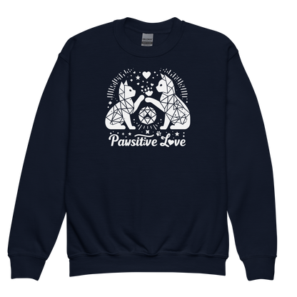 Geometric Whiskerplay - Pawsitive Love - Youth Sweatshirt