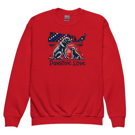 States of Devotion - Pawsitive Love - Youth Sweatshirt