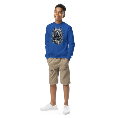 Guardian of Justice - Youth Sweatshirt